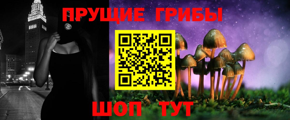 Псилоцибиновые грибы GOLDEN TEACHER  Галлюциногенные грибы прущие грибы  Вход с VPN  Усть-Илимск 